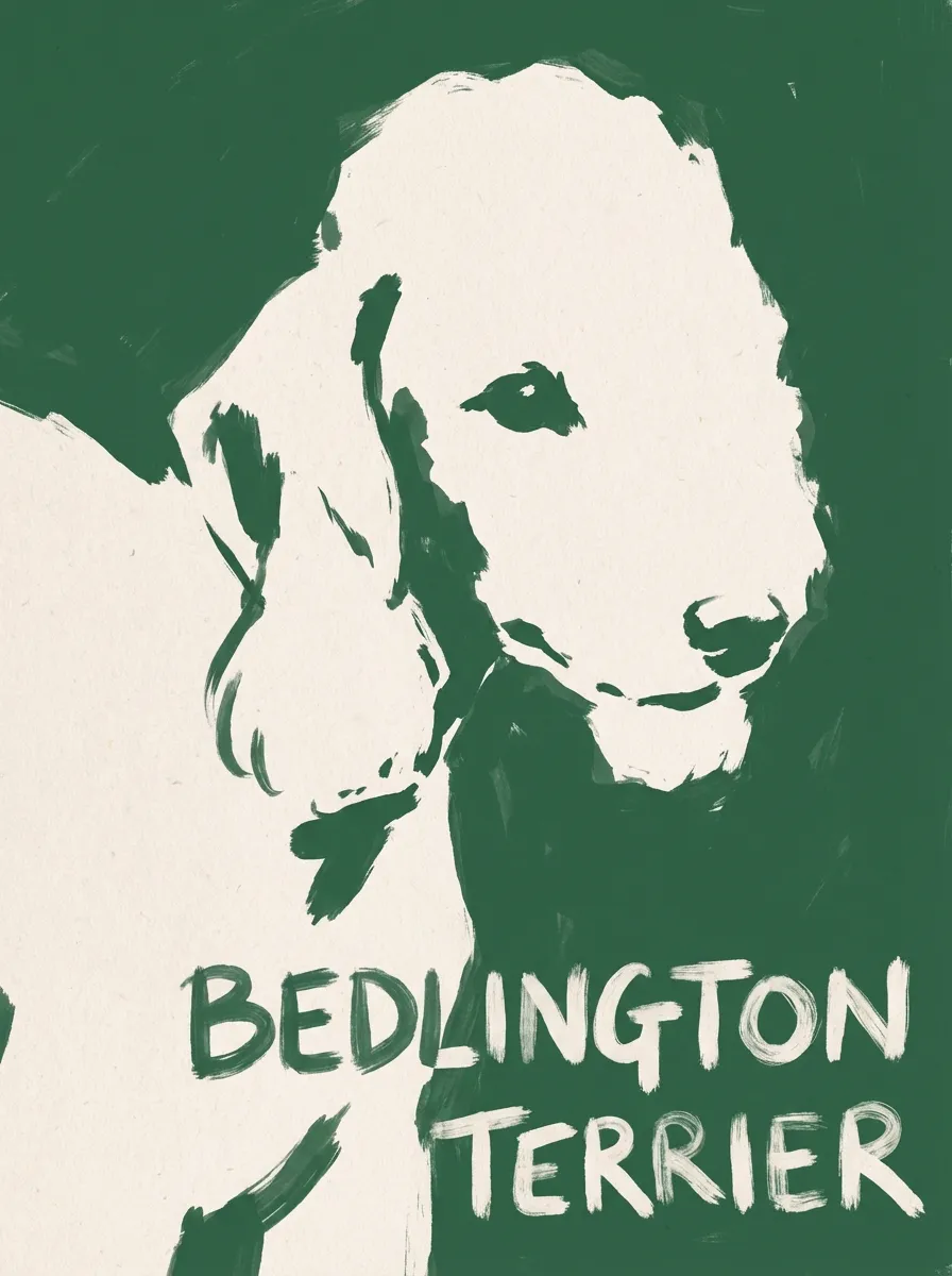 Bedlington Terrier artwork