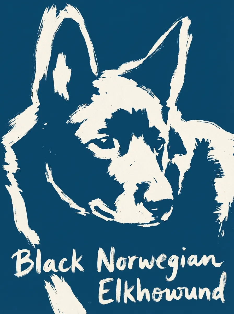 Black Norwegian Elkhound artwork