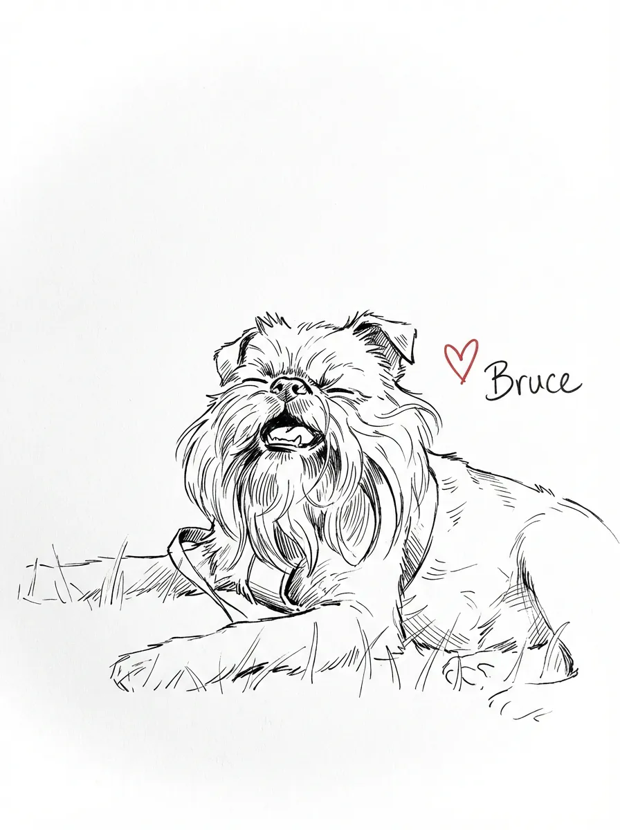 Artwork of Bruce