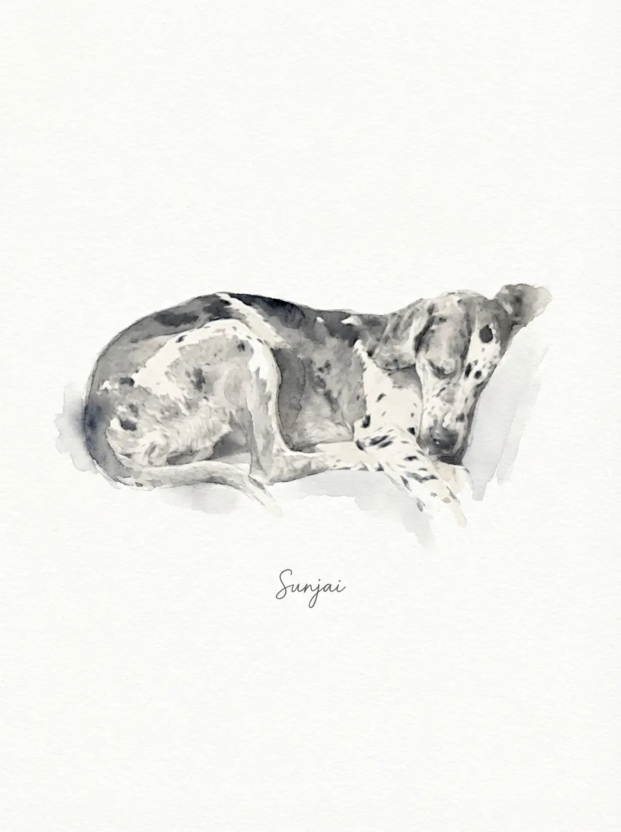 The Repose of Sunjai