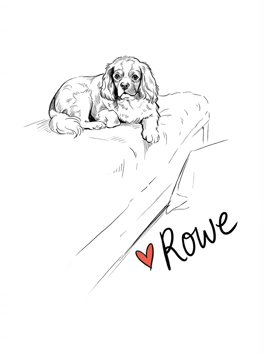 Rowe's Quiet Contemplation