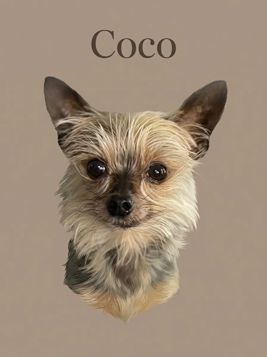 Artwork of Coco