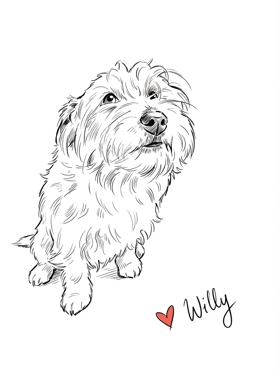 Artwork of Willy