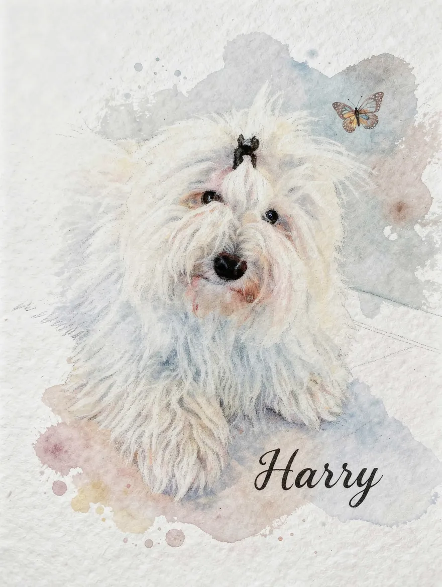 Artwork of Harry