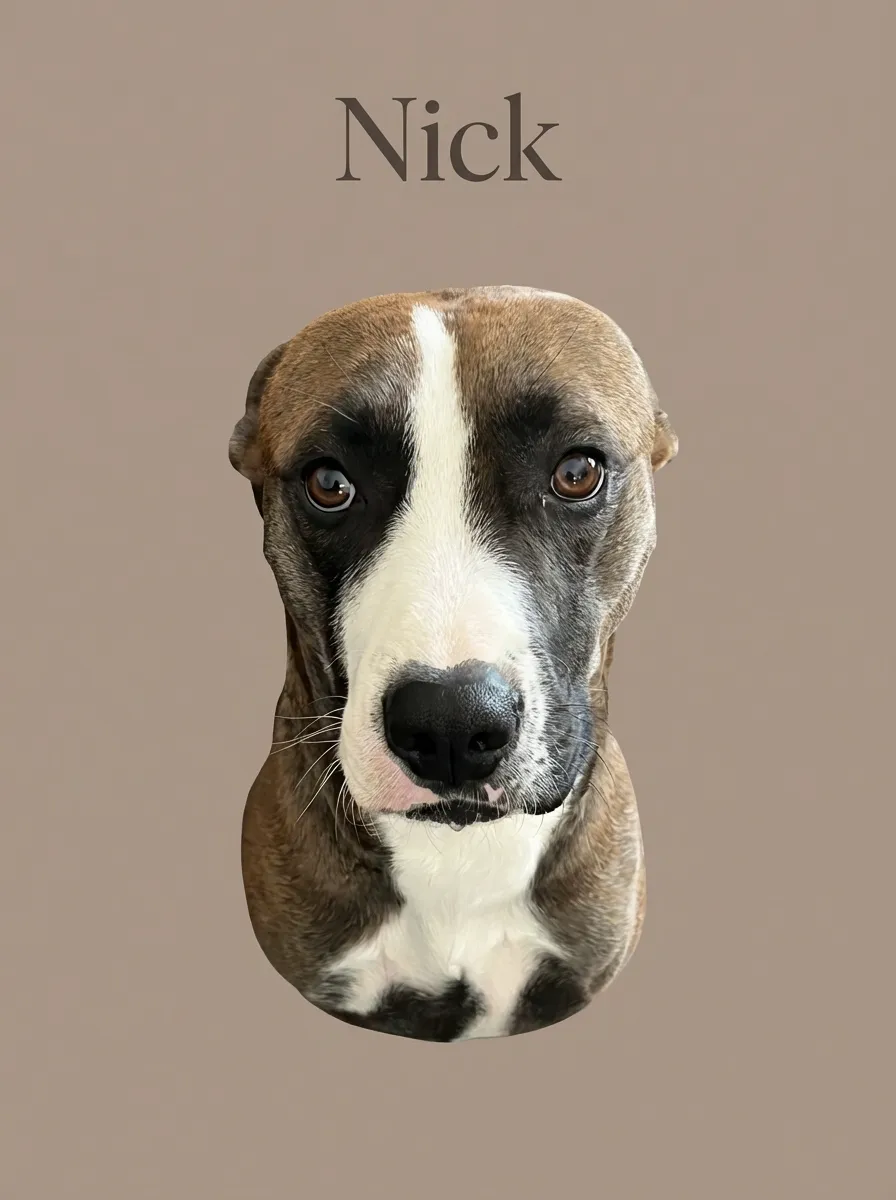 Artwork of Nick
