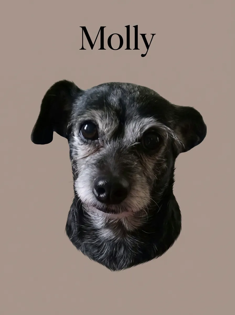 Artwork of Molly
