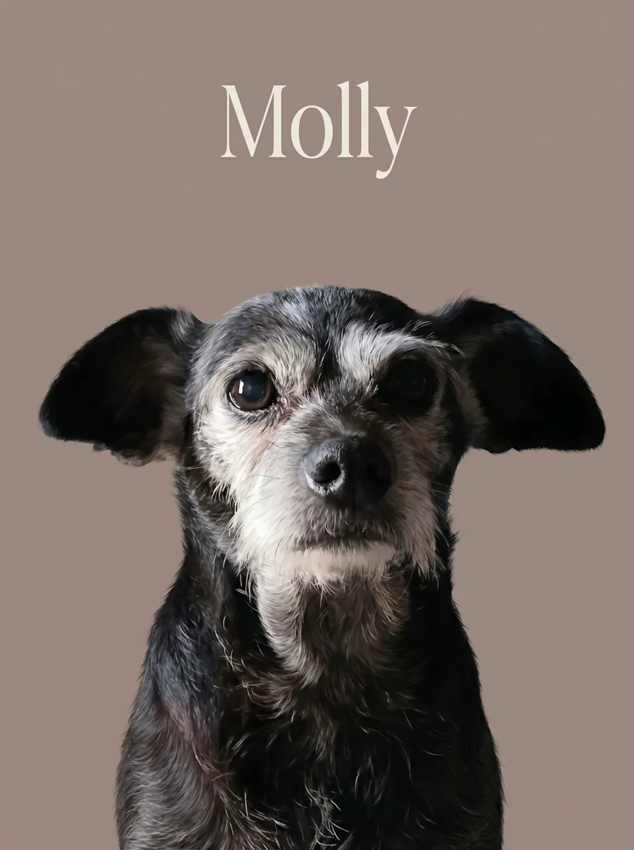 Artwork of Molly