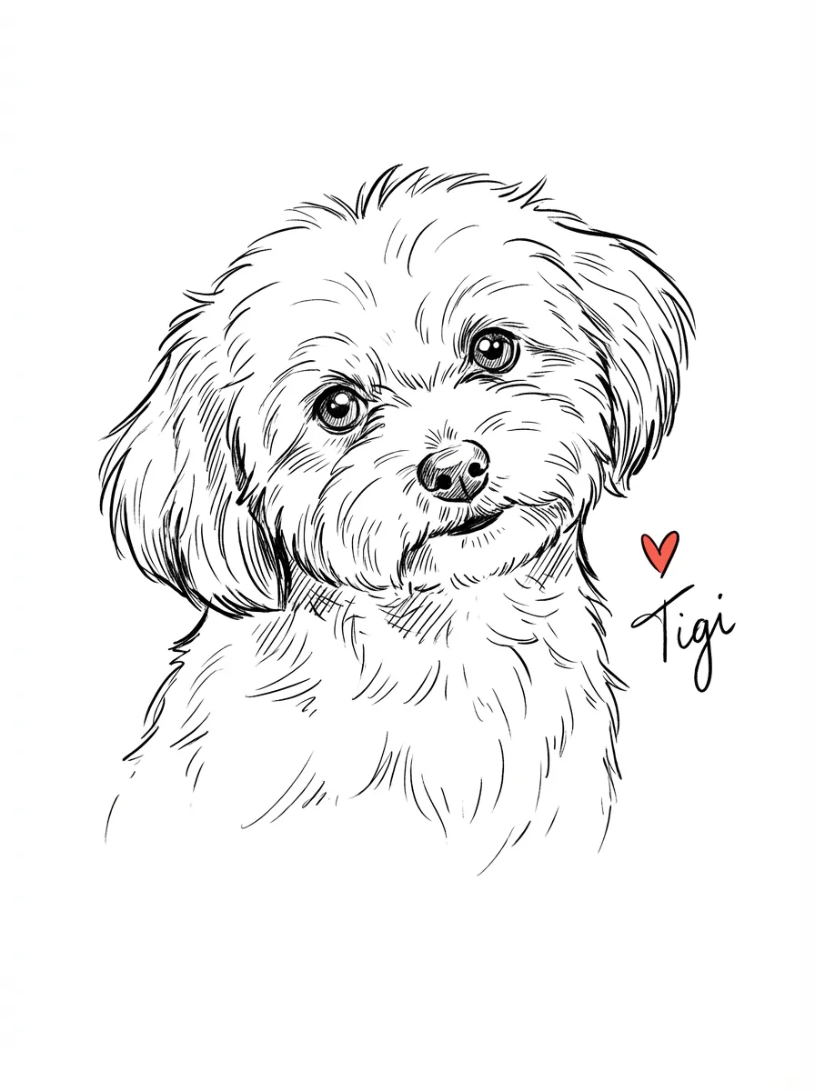 The Contemplative Tigi