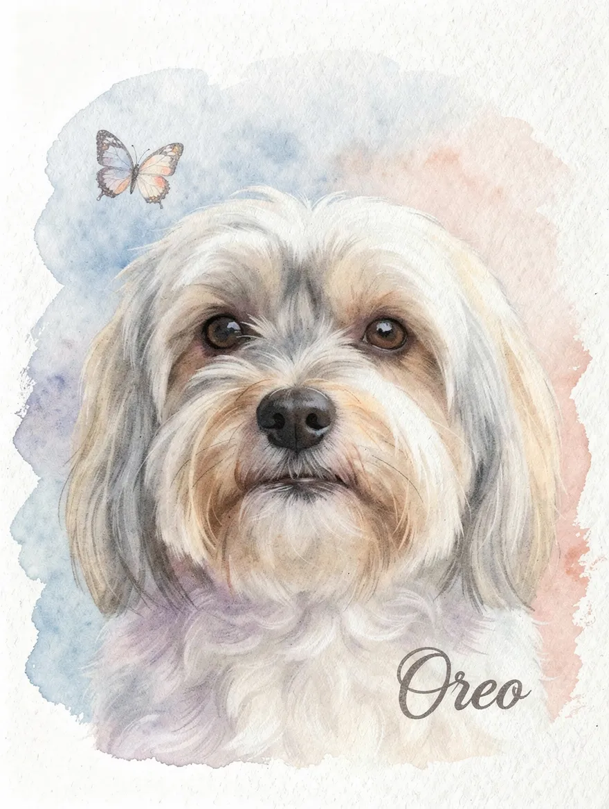 Artwork of Oreo