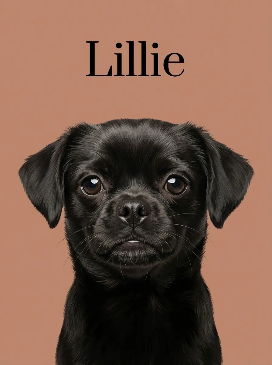 Lillie's Velvet Gaze