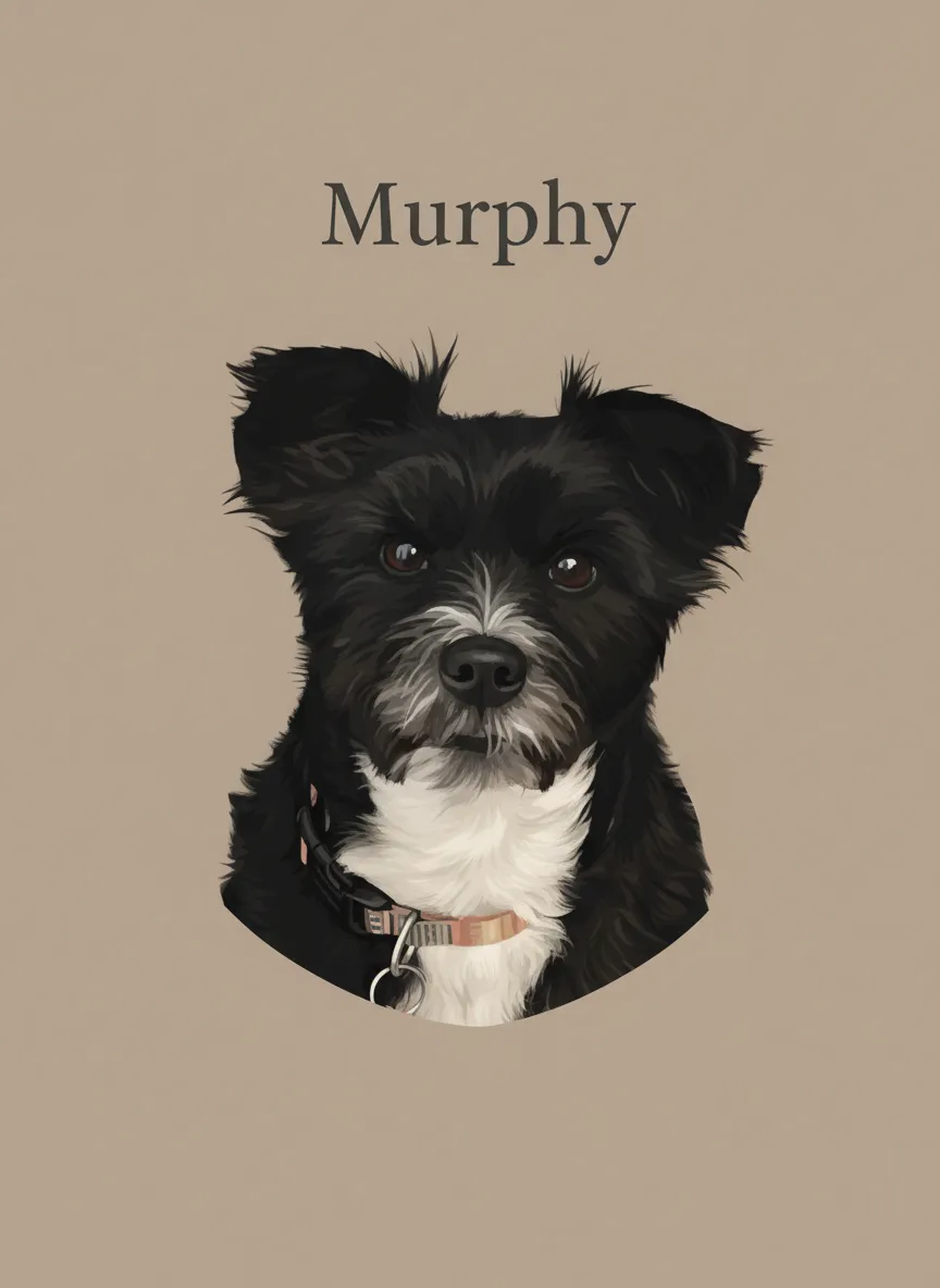 The Contemplative Murphy