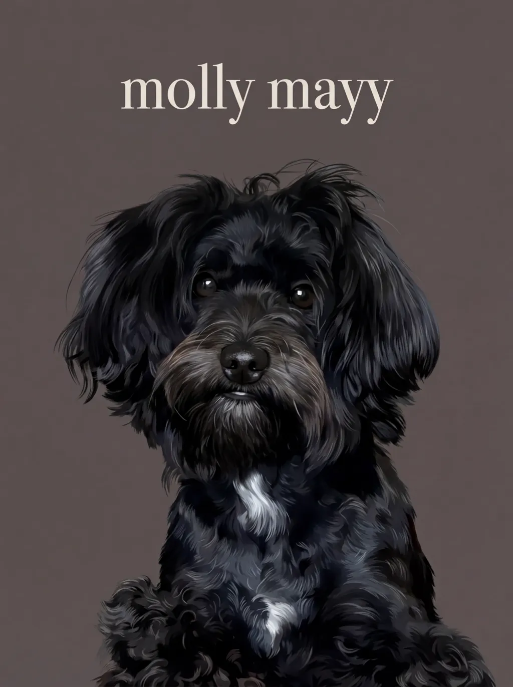 The Contemplative Molly Mayy