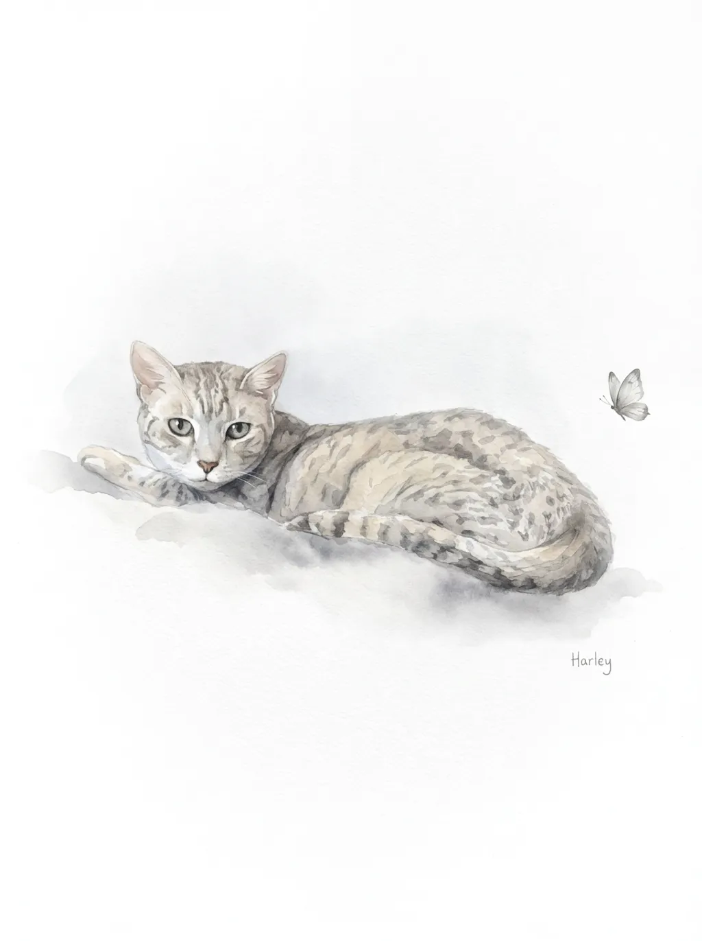 Harley's Butterfly Dream