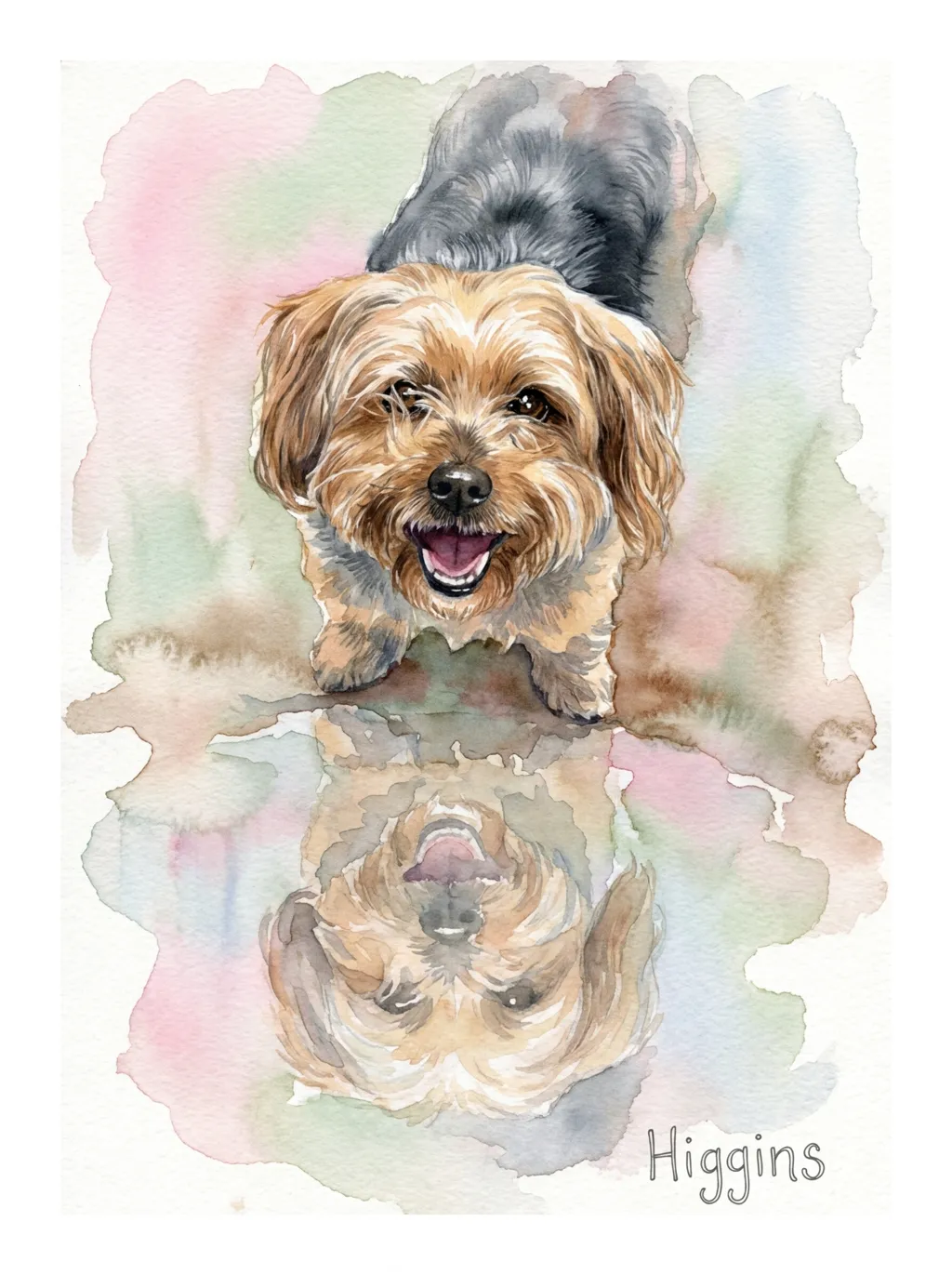 Higgins's Gentle Reflection