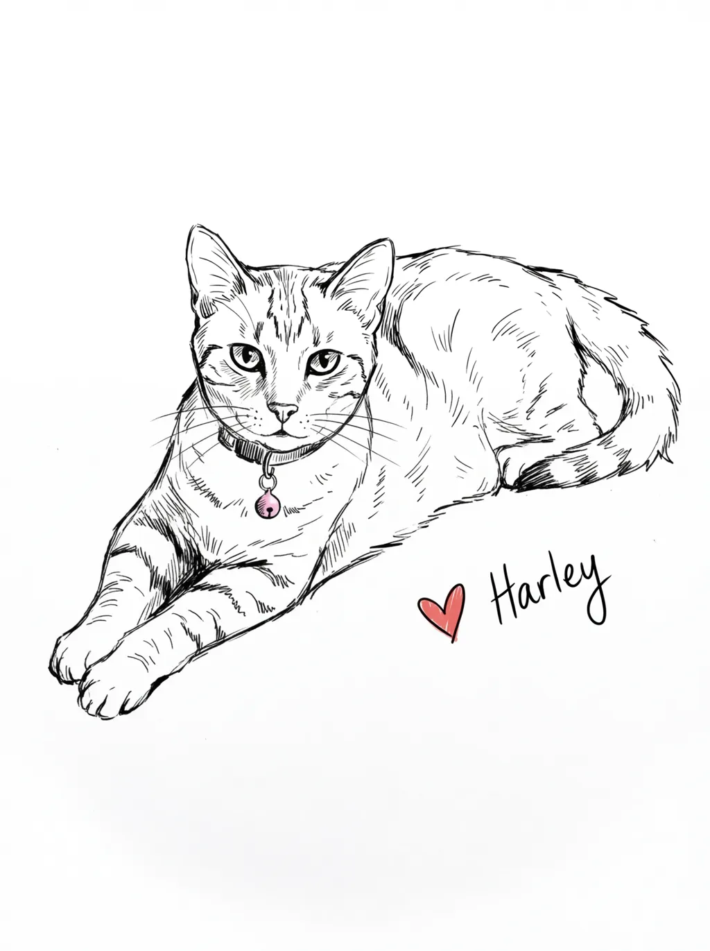 Harley in Repose