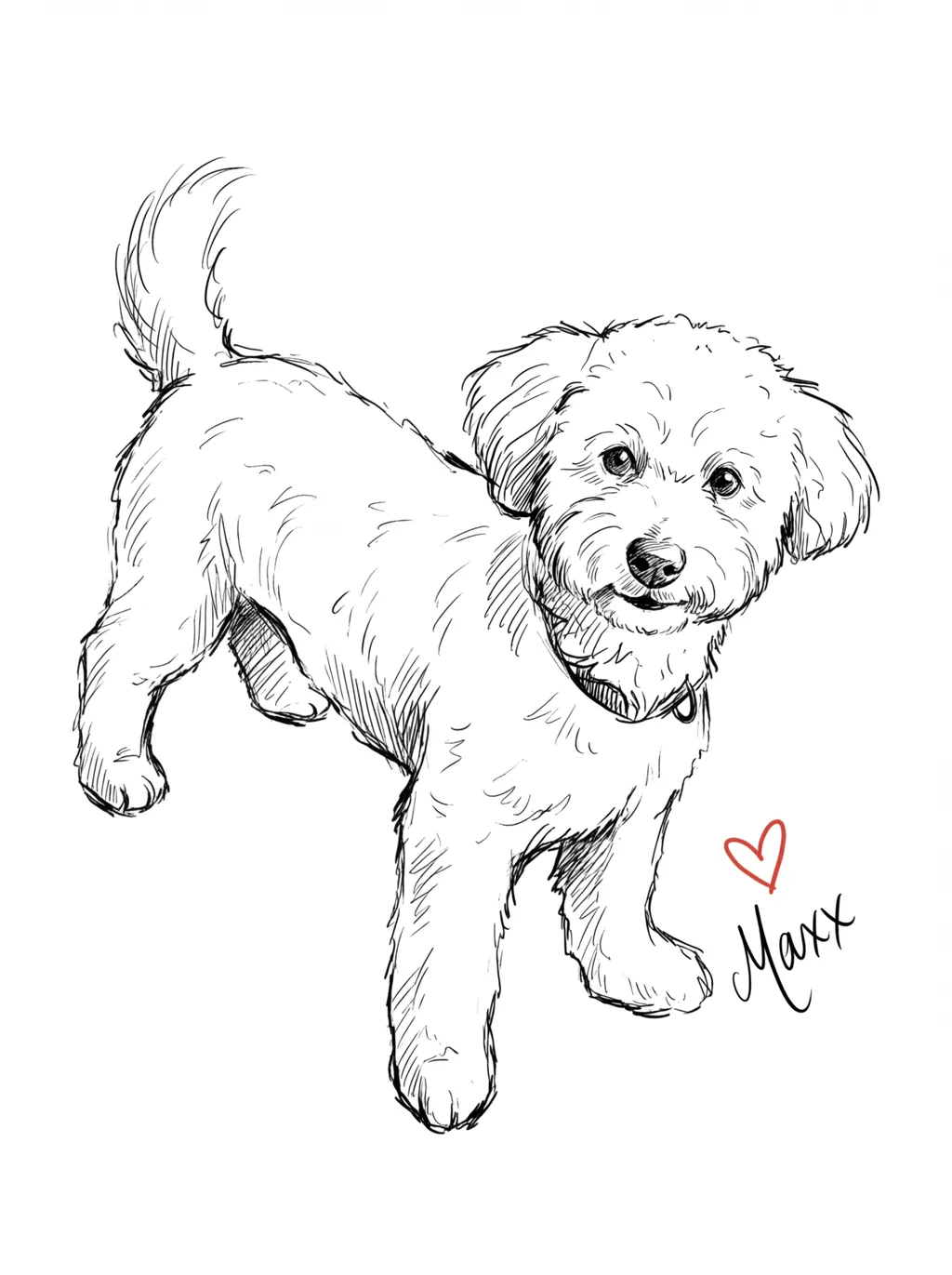 The Watchful Gaze of Maxx