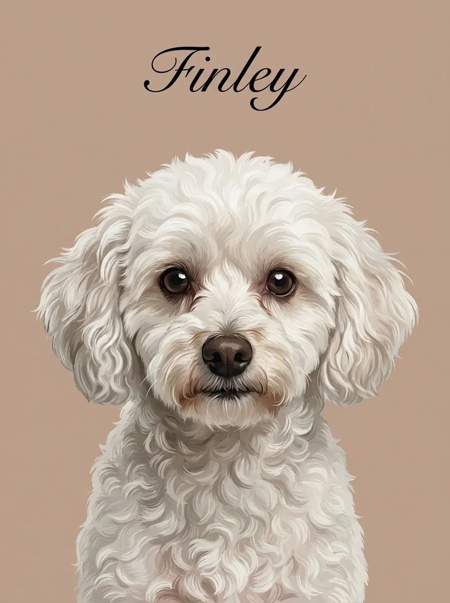 Finley's Gentle Gaze