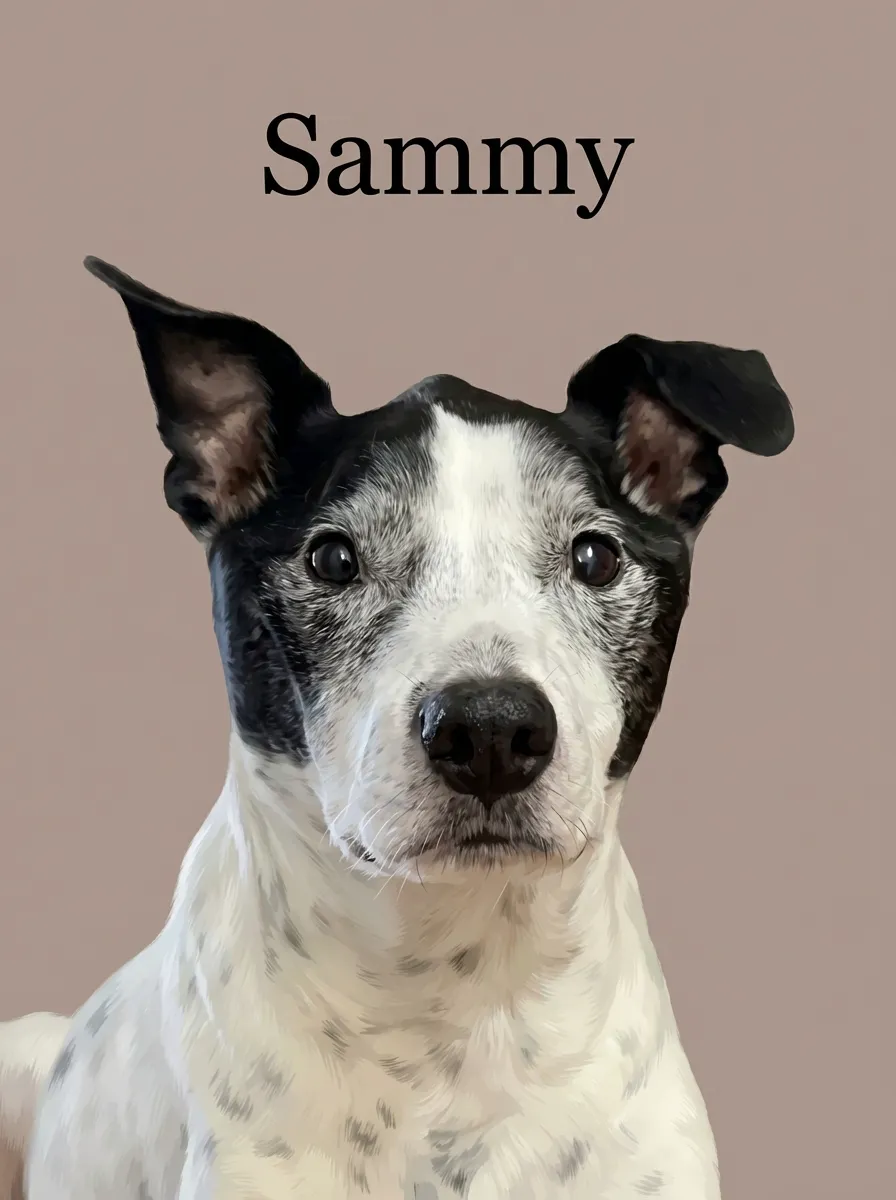 The Gaze of Sammy