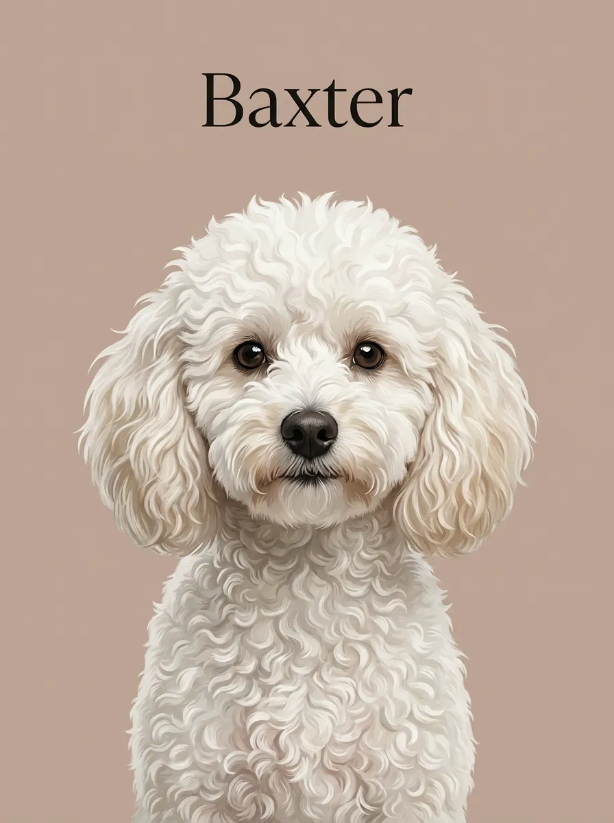 The Contemplative Baxter