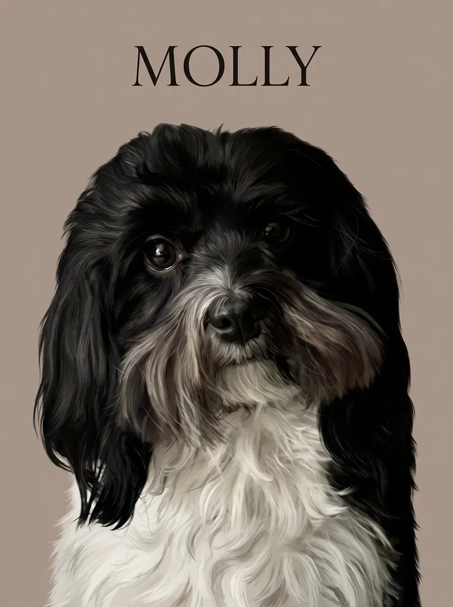The Contemplative Molly