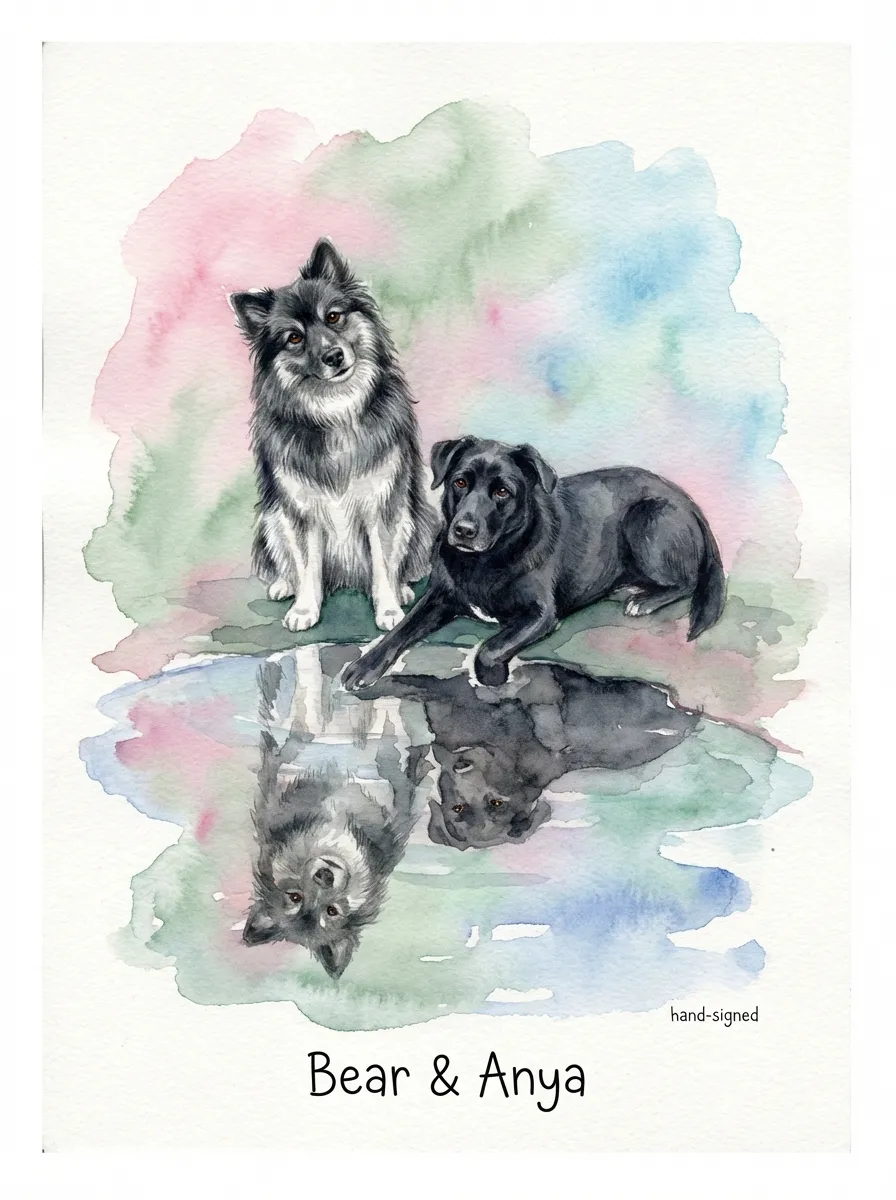 Bear and Anya, Reflected