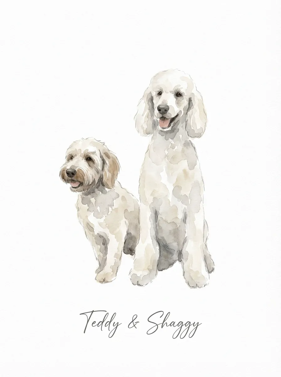 Teddy and Shaggy, Companions