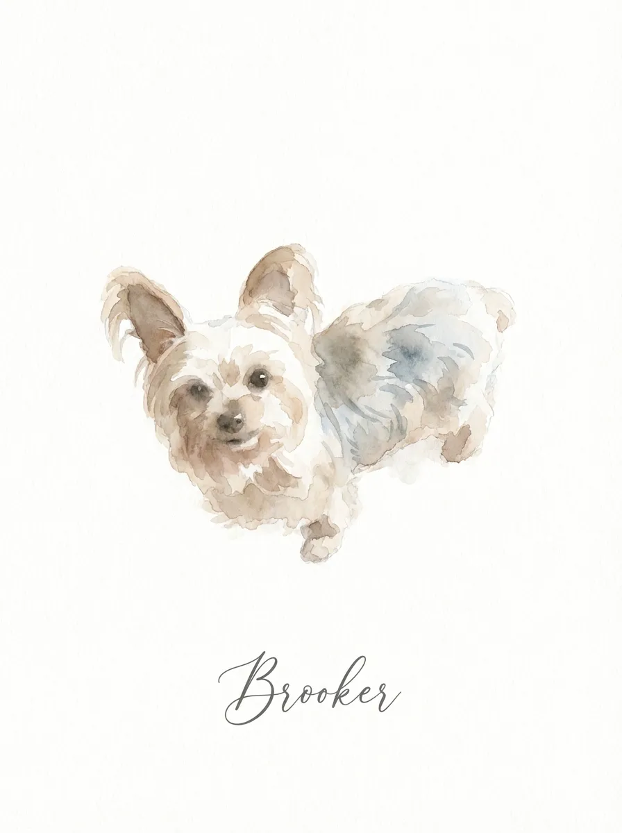 Brooker's Gentle Gaze