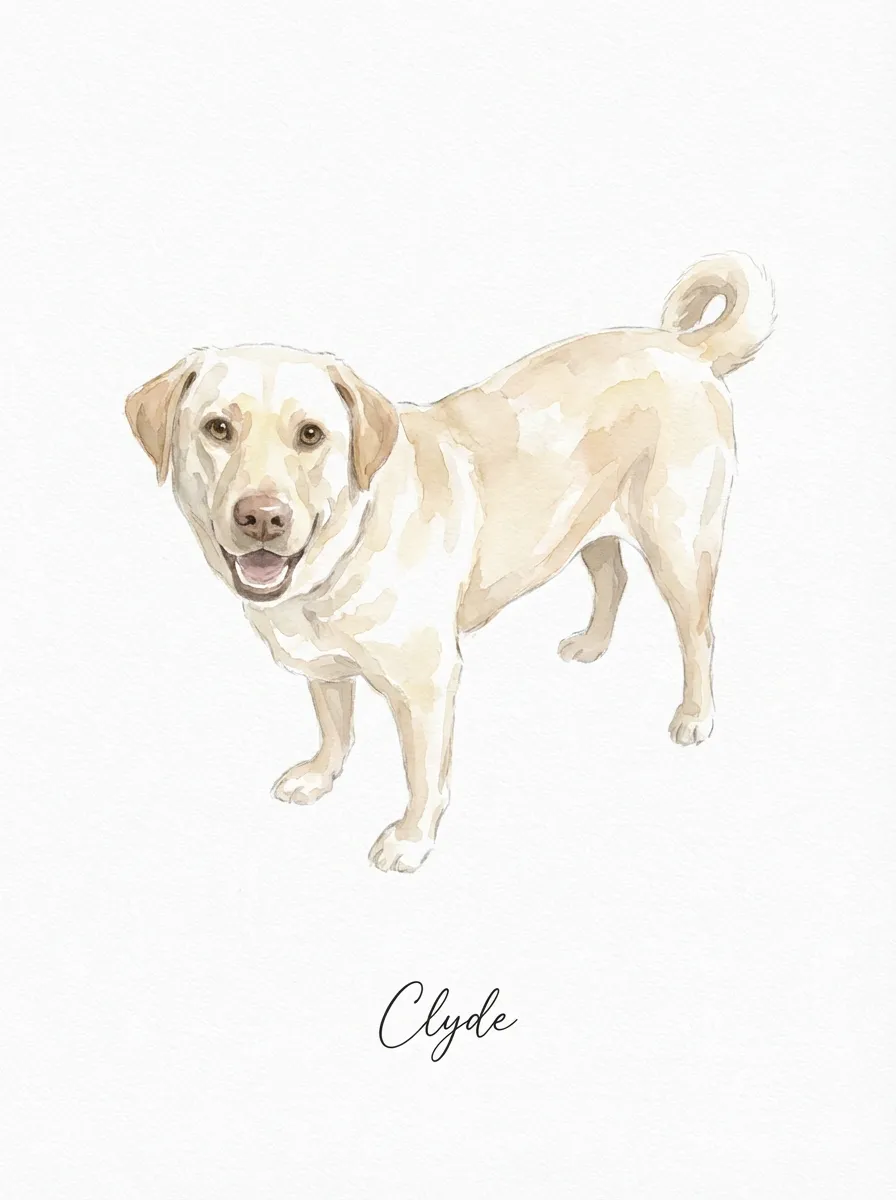 Clyde, A Golden Spirit