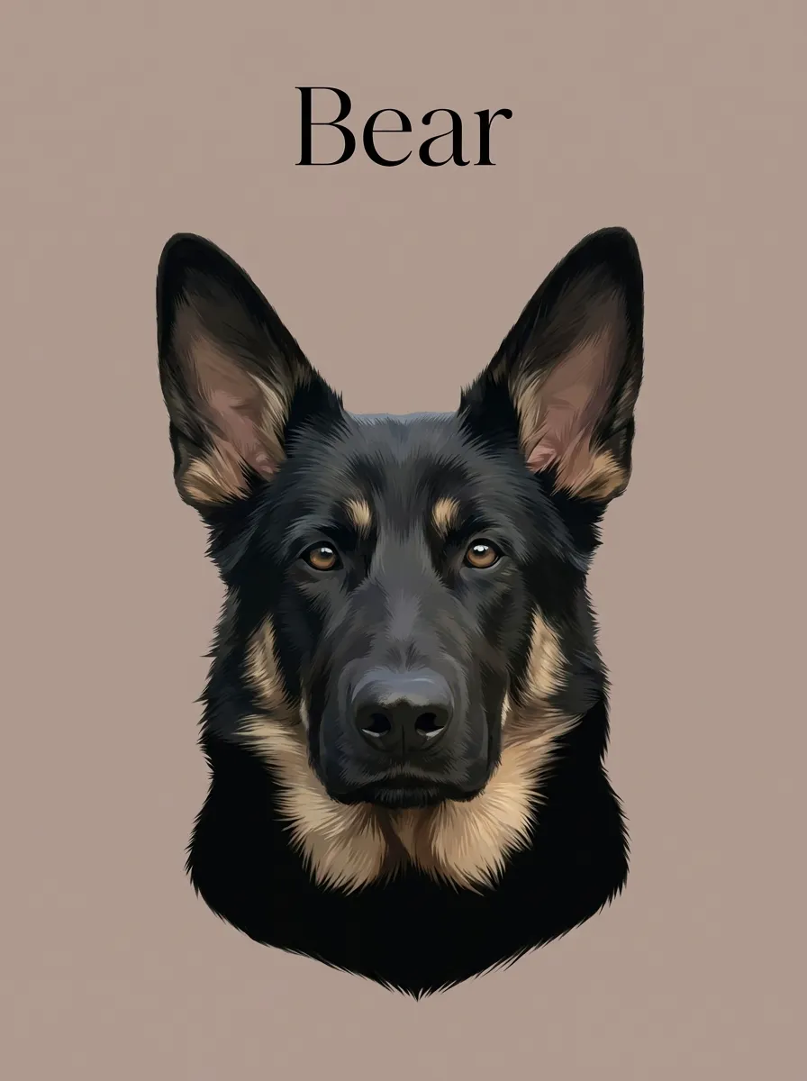 Bear, The Vigilant Gaze