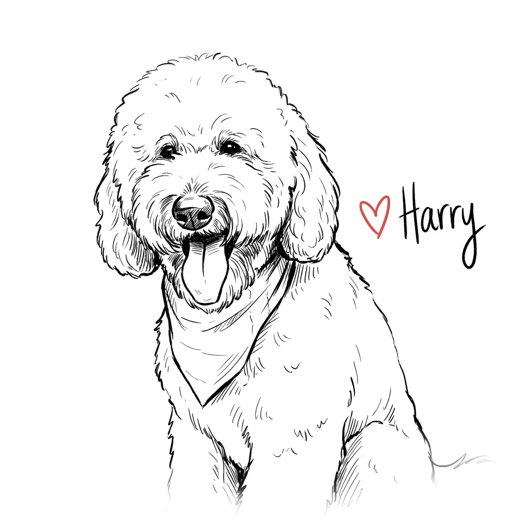 Harry, Joyful Spirit