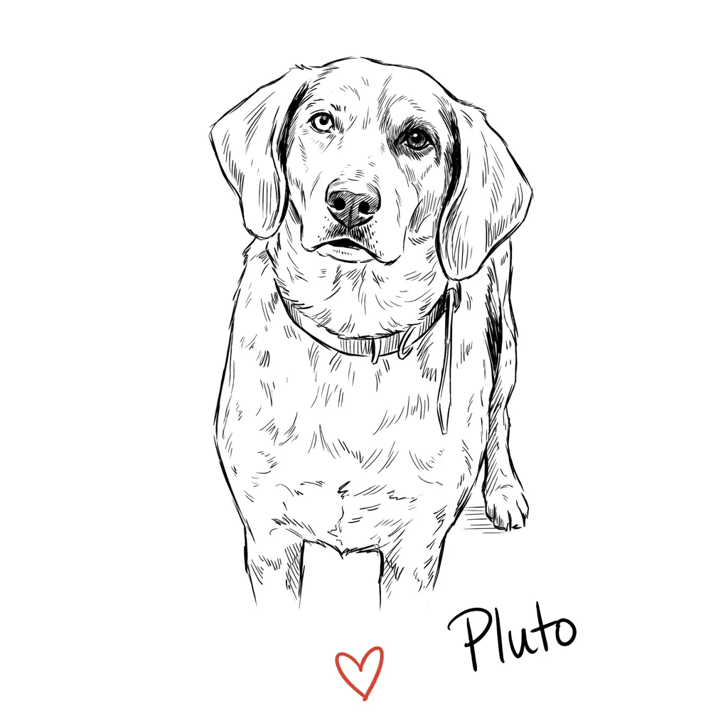Pluto's Quiet Contemplation