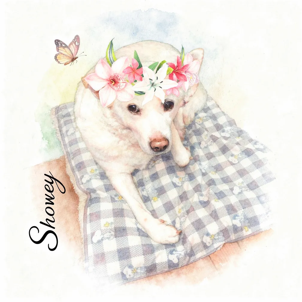 Snowey's Floral Repose