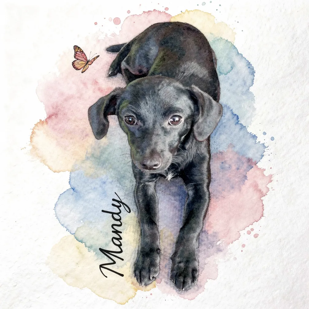 Mandy's Watercolor Reverie
