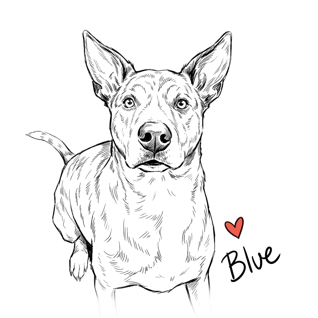 The Gaze of Blue