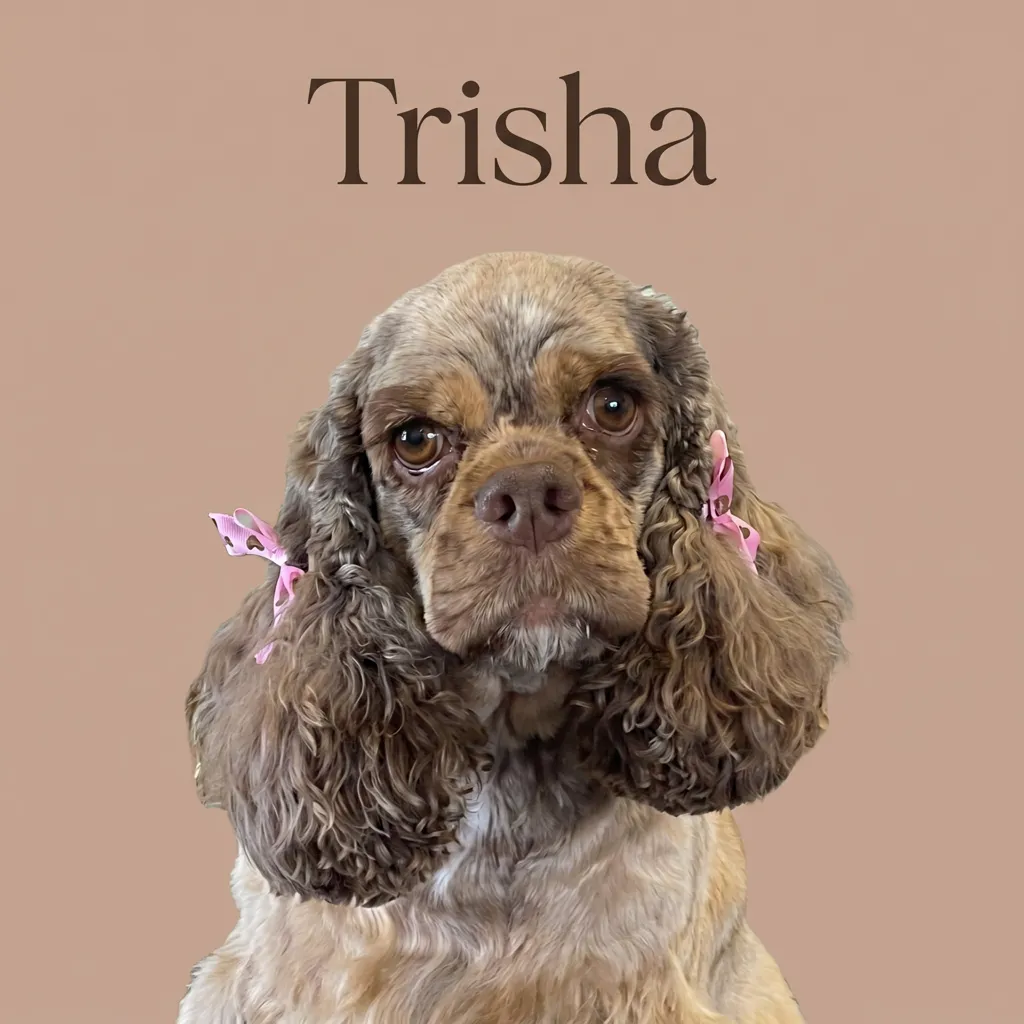 The Pensive Trisha