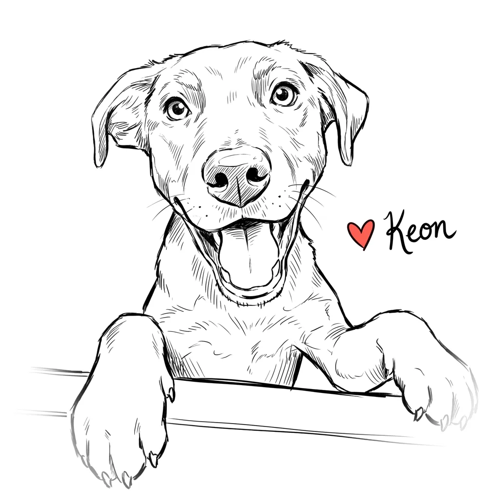 Keon, A Study in Joy