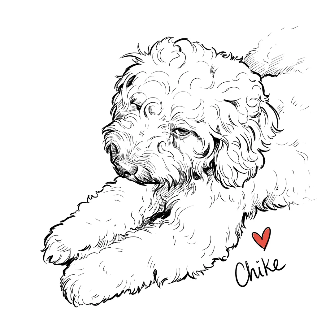 Chike's Gentle Repose