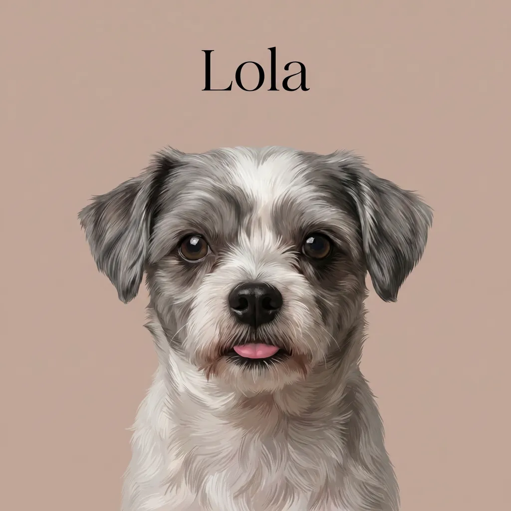 Lola's Quiet Whimsy
