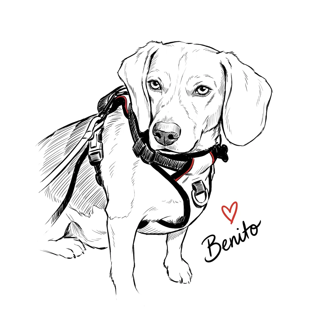 Benito's Quiet Regard