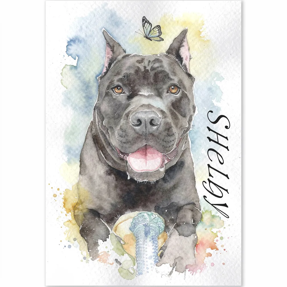 Shelby, Butterfly's Friend
