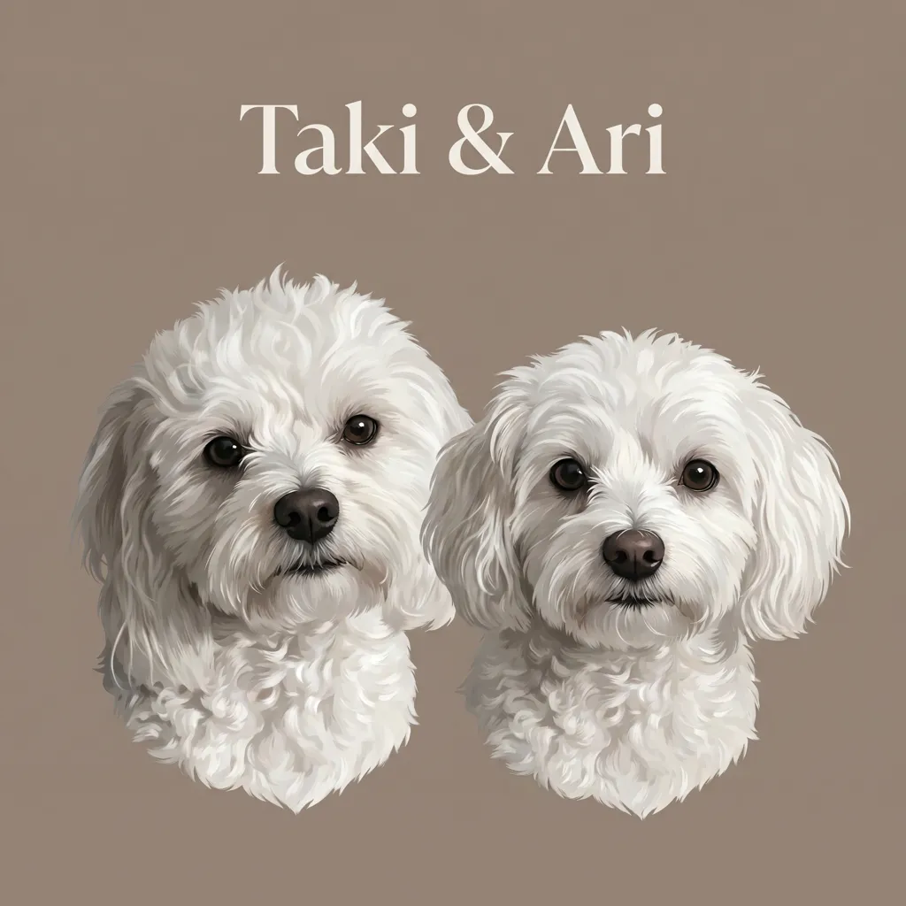 The Serene Taki and Ari
