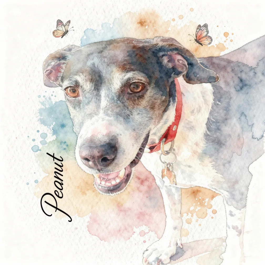 Peanut's Luminous Spirit
