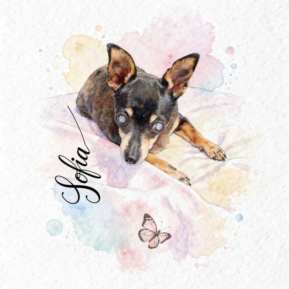 Sofia's Butterfly Dream